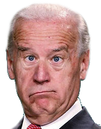Goofy Joe Biden